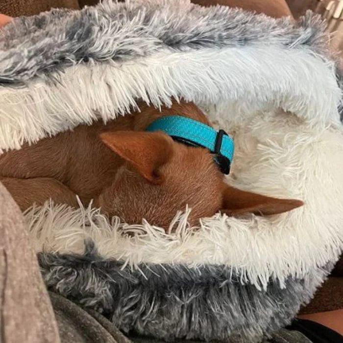 CozyPet Haven Round Fluffy Hooded Pet Bed Cave